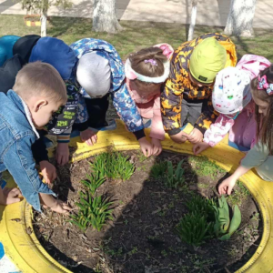 🌱 Copiii de la grupa pregătitoare sădesc flori pentru un viitor verde! 🌼