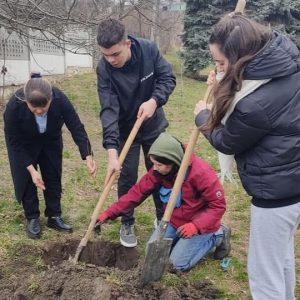 Rădăcini pentru viitor