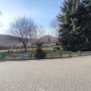 Salubrizarea de primăvară